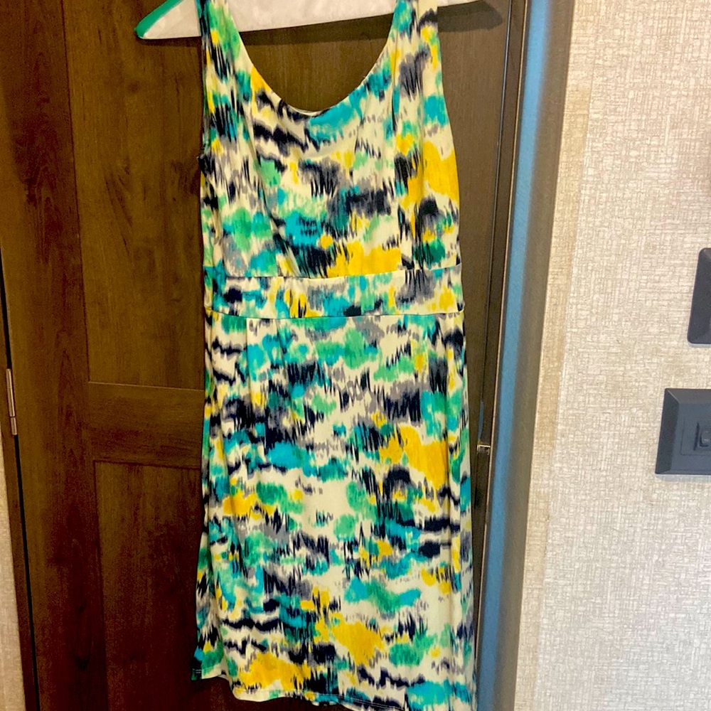 The Limited multicolor dress